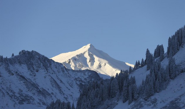 Haus Erika Familie Haller In Mittelberg Igv
